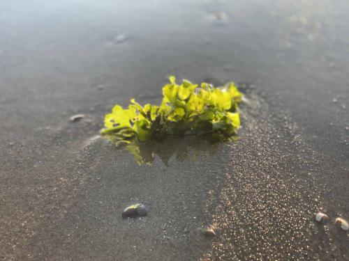 Ouddorp Impressionen