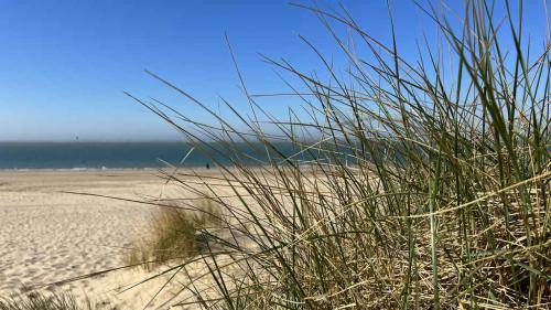 Ouddorp Impressionen