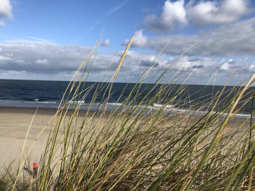 Ouddorp Impressionen