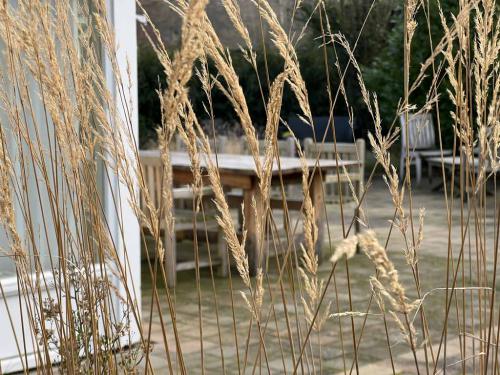 Großer Garten - groote Tuin