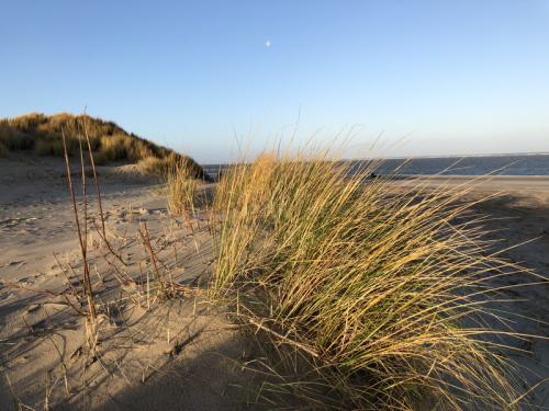 Ouddorp Impressionen