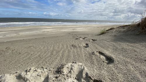 Ouddorp Impressionen