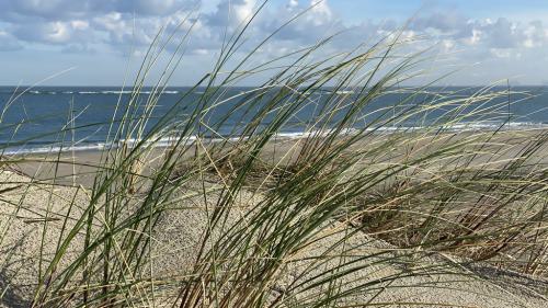 Ouddorp Impressionen