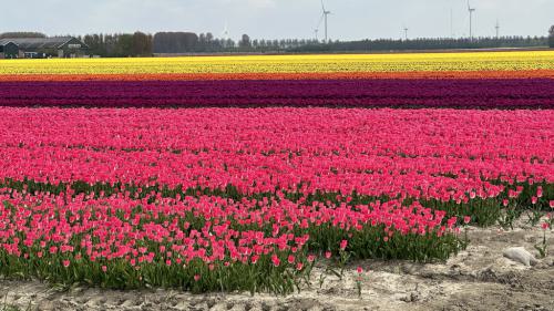 Ouddorp Impressionen