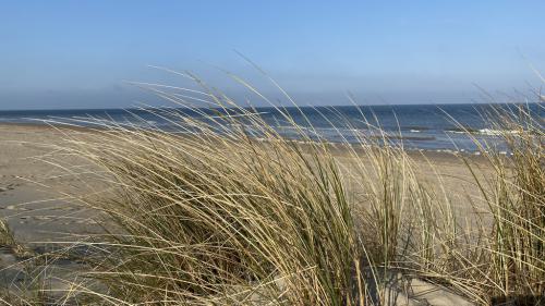 Ouddorp Impressionen